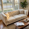 Contemporary Velvet Sofa With 2 Pillows