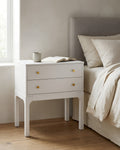 Alonso 2-Drawer Modern Nightstand