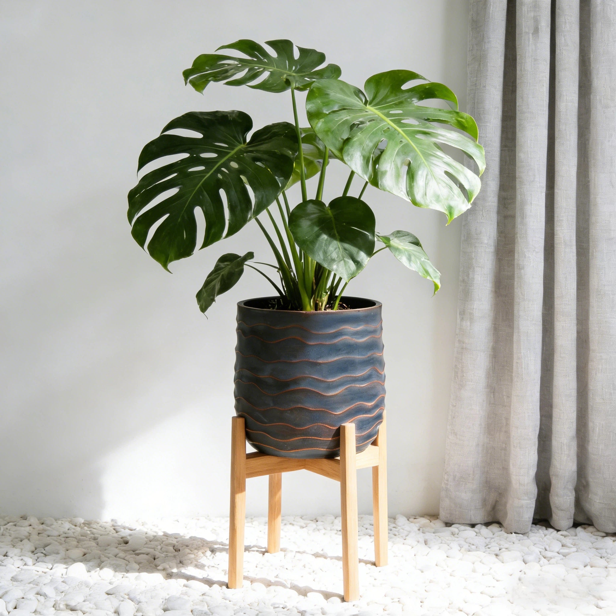 Large Round Planters Set of 2