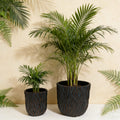 Large Round Planters Set of 2