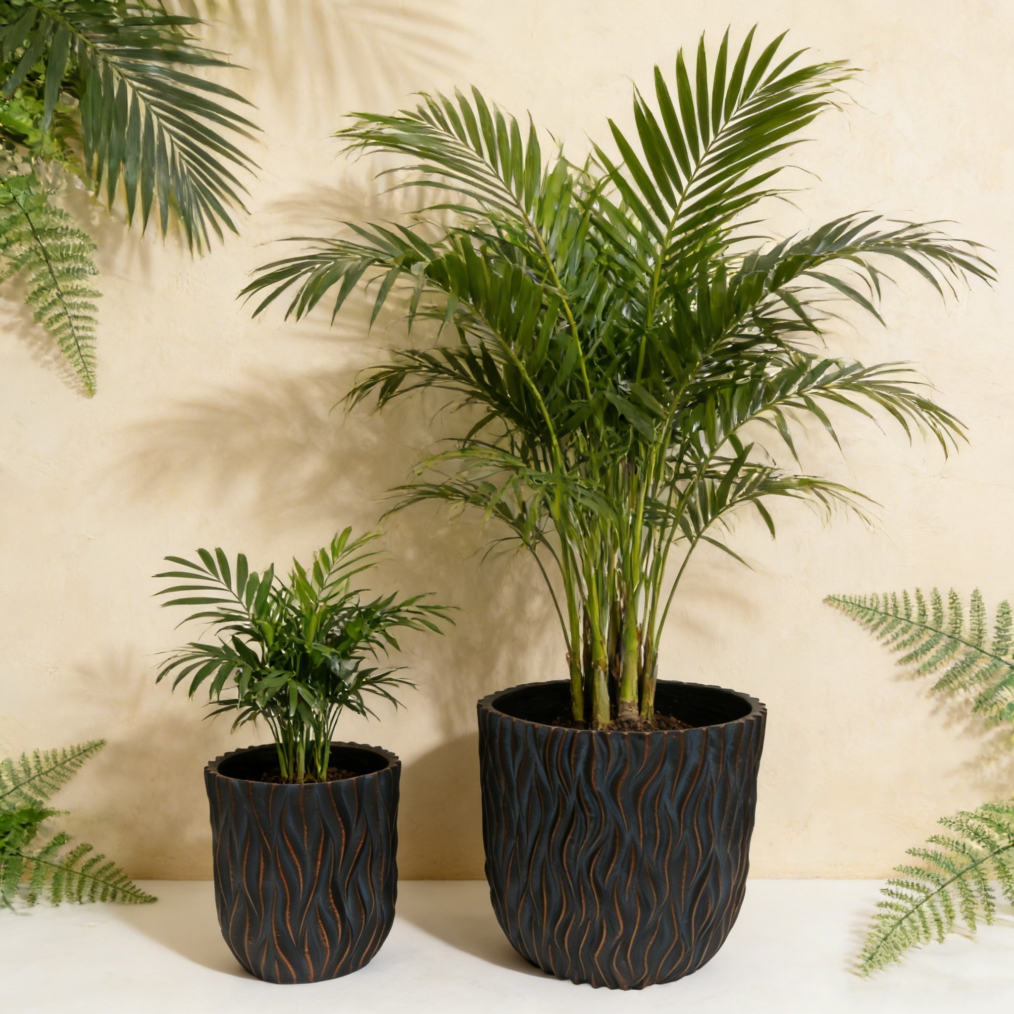 Large Round Planters Set of 2