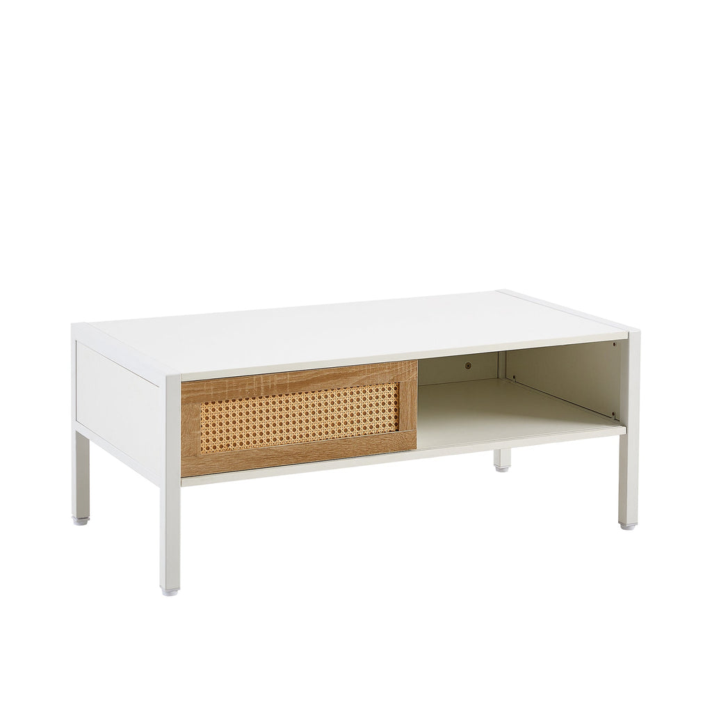 Modern Rattan Coffee Table with Sliding Door
