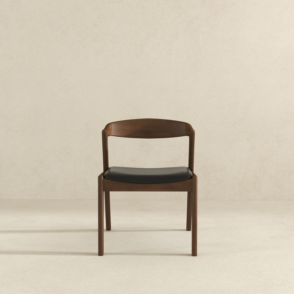 Dakota - Mid-Century Modern Dining Chair (Set of 2)