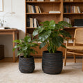 Large Round Planters Set of 2
