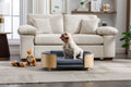 Scandinavian Style Elevated Dog Bed with Velvet Cushion