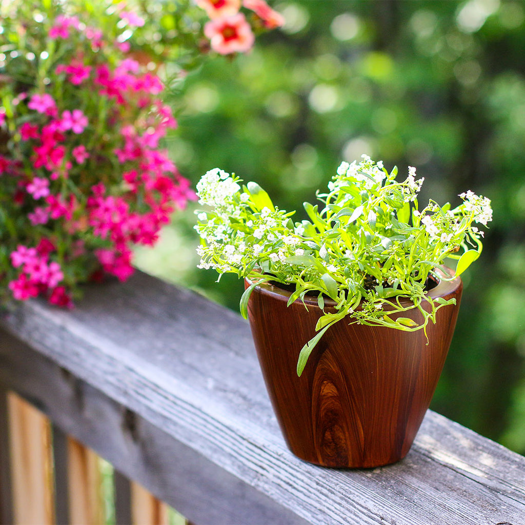 2-Pack 10 in. Dark Wood Plastic Self-Watering Planter Pot