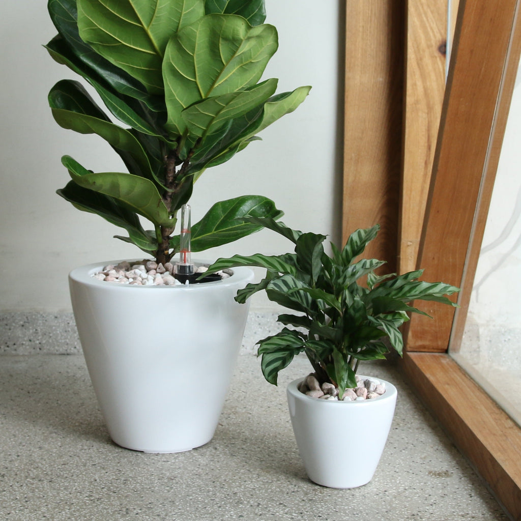 2-Pack Smart Self-Watering Planter Pot