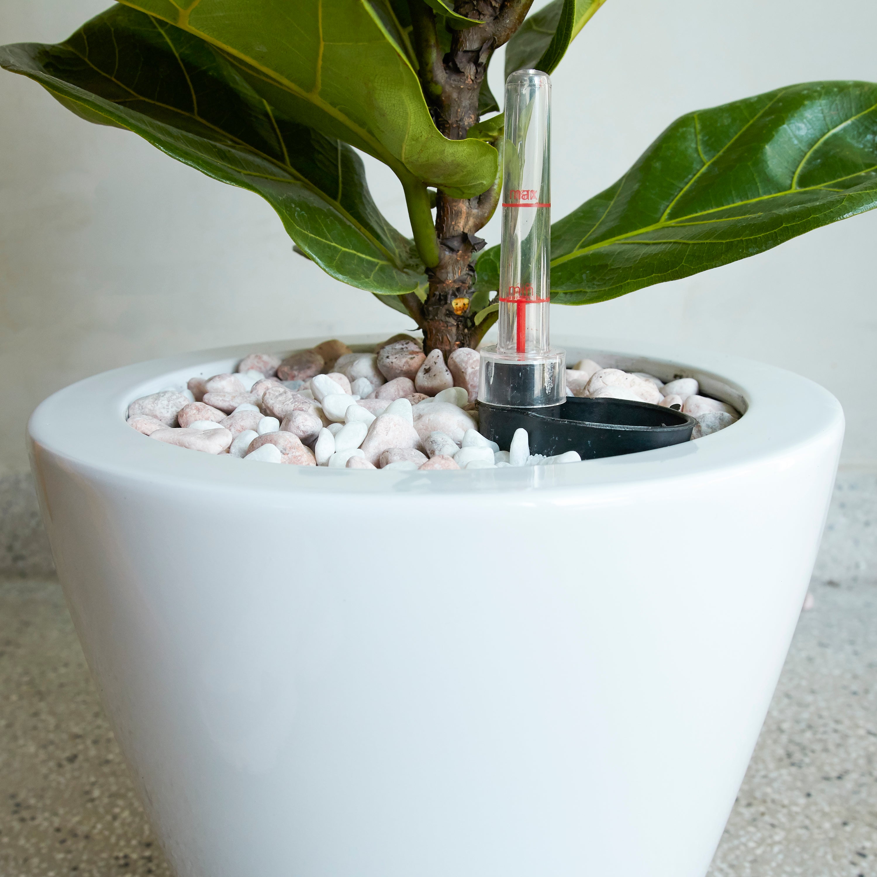 2-Pack Smart Self-Watering Planter Pot