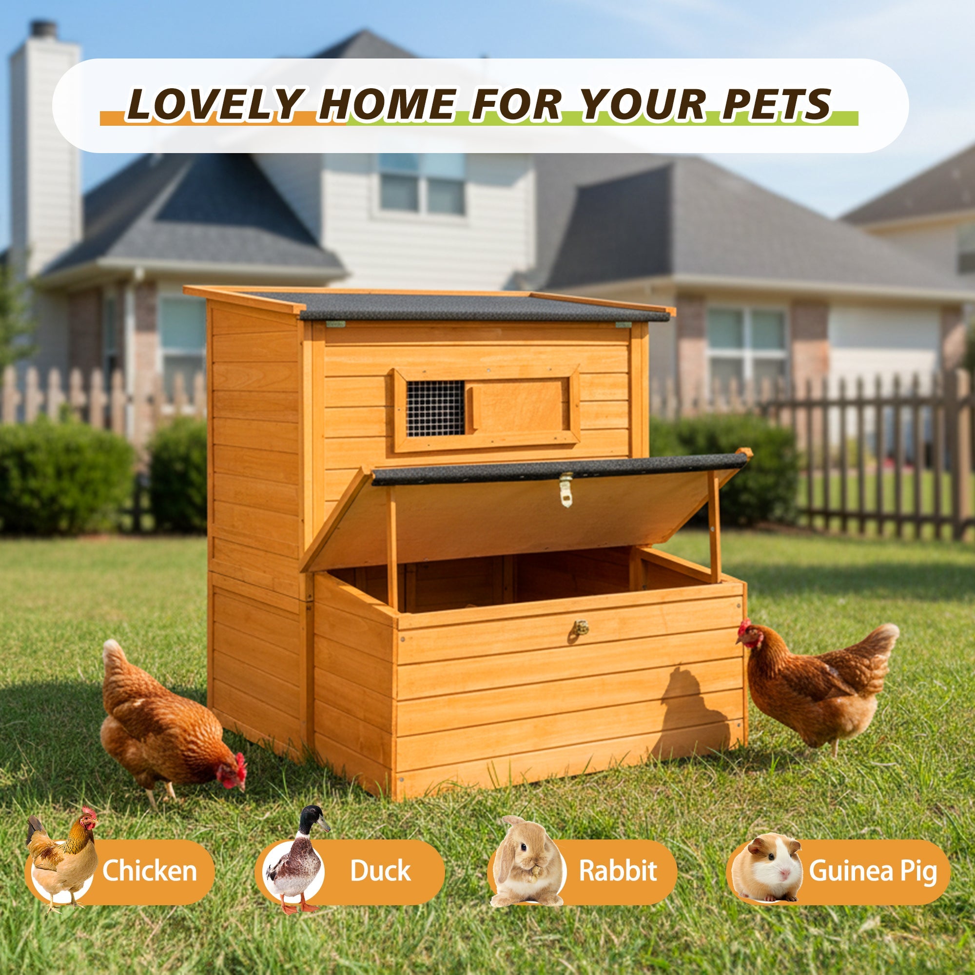 Double-House Wooden Chicken Coop for 6-8 Chickens