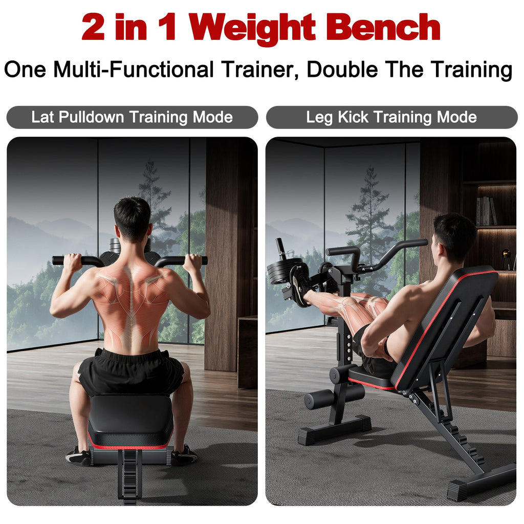 Multi-Functional Adjustable Weight Bench