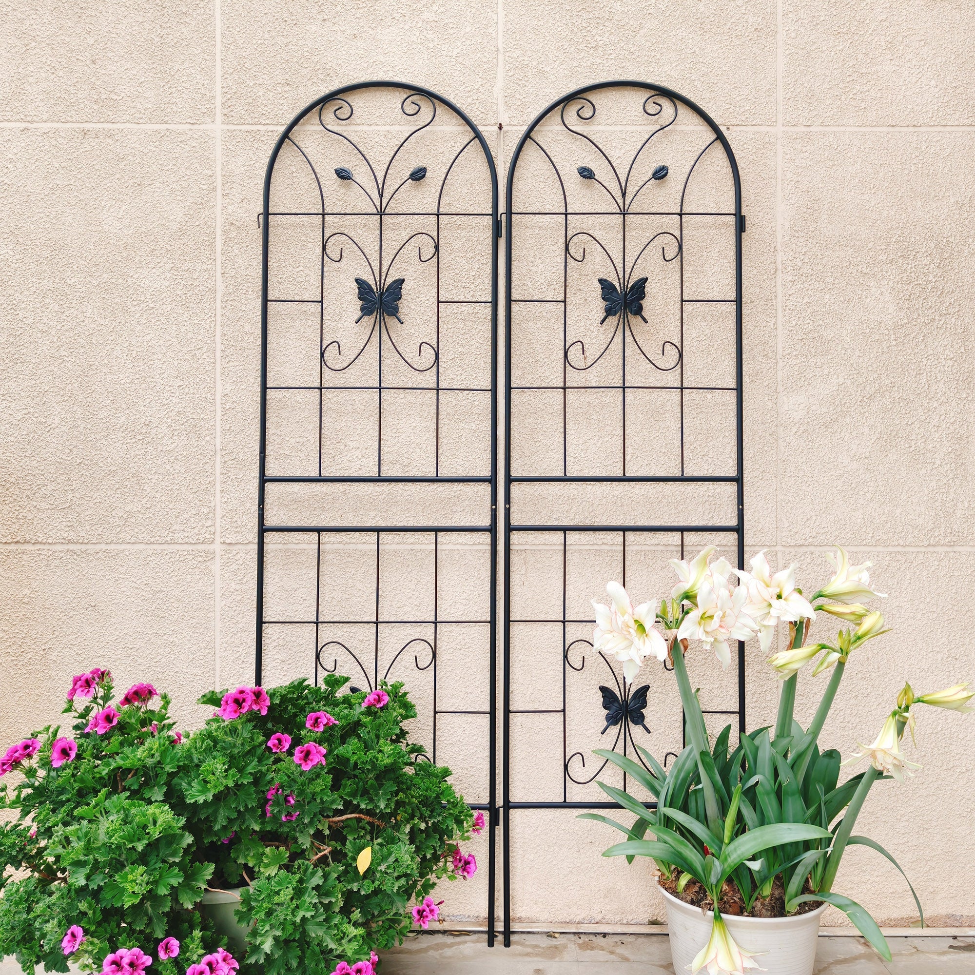 2 Pack Metal Garden Trellis 71" x 19.7" Rustproof Outdoor Support