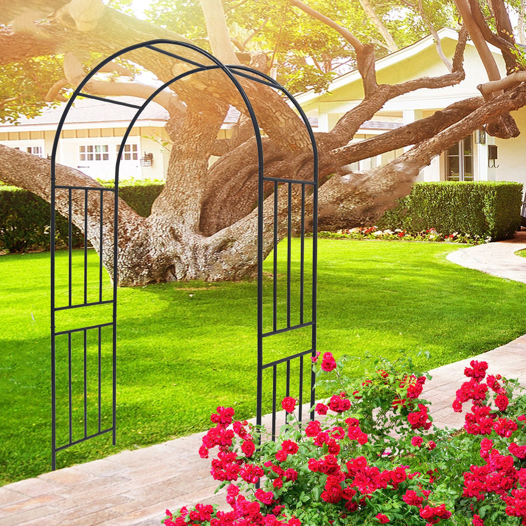 Metal Garden Arch for Climbing Plants