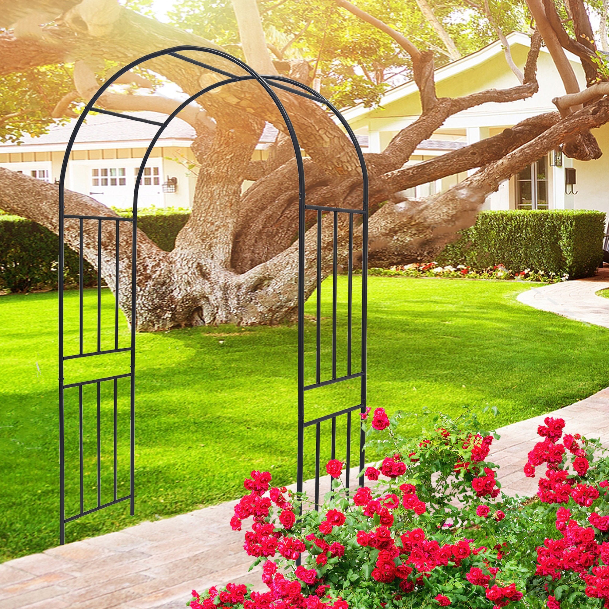 Metal Garden Arch for Climbing Plants
