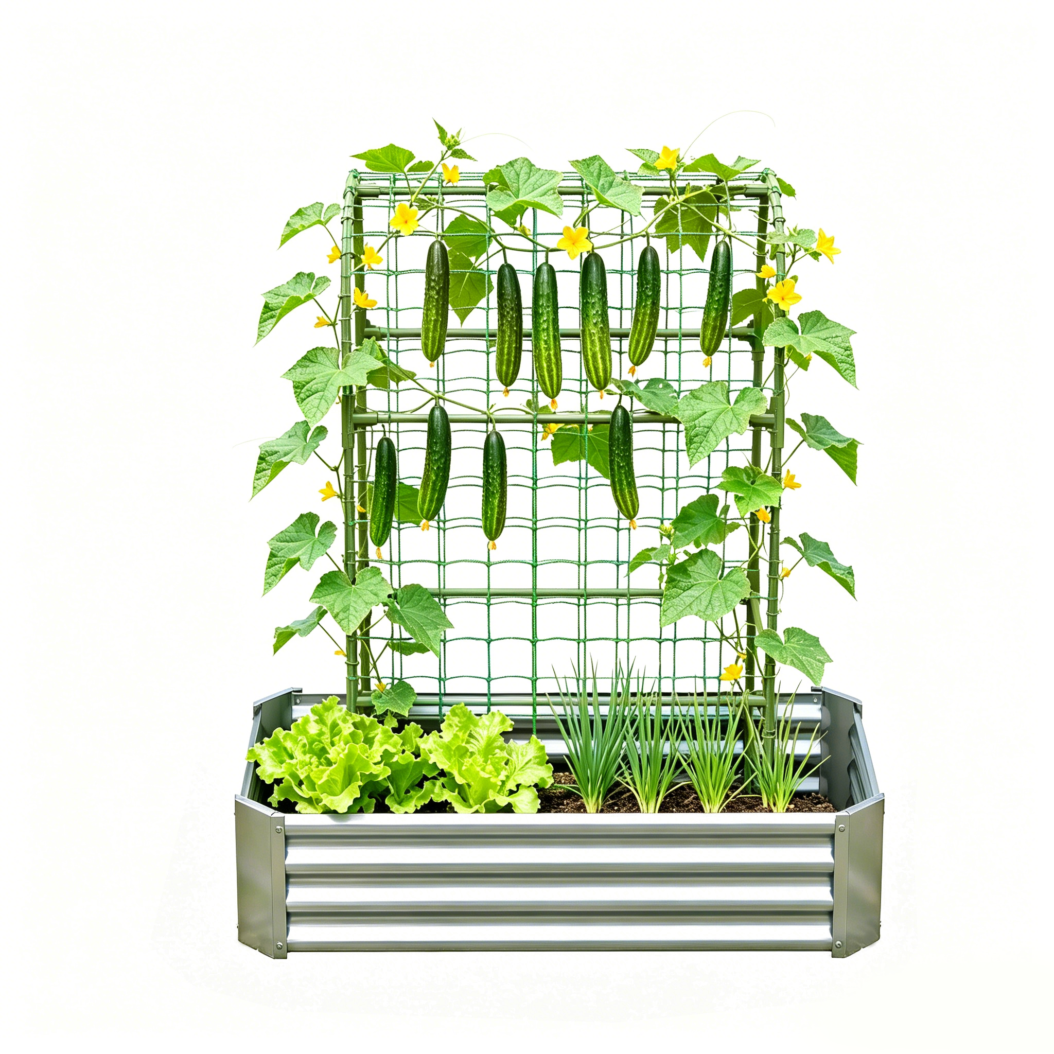 2-in-1 Raised Garden Bed with Trellis