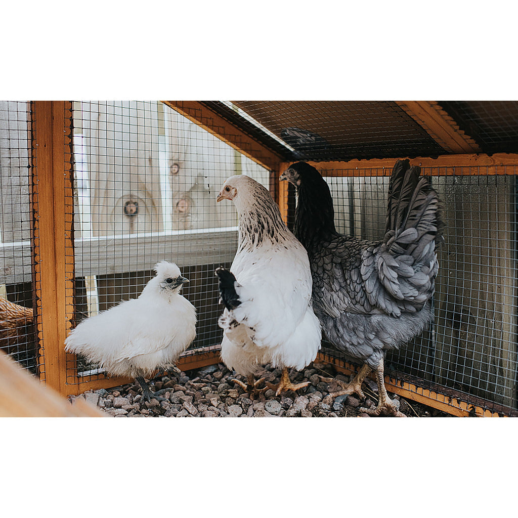 Galvanized Hardware Cloth, Chicken Wire Fence Roll For Garden And Animal Enclosures - Silver
