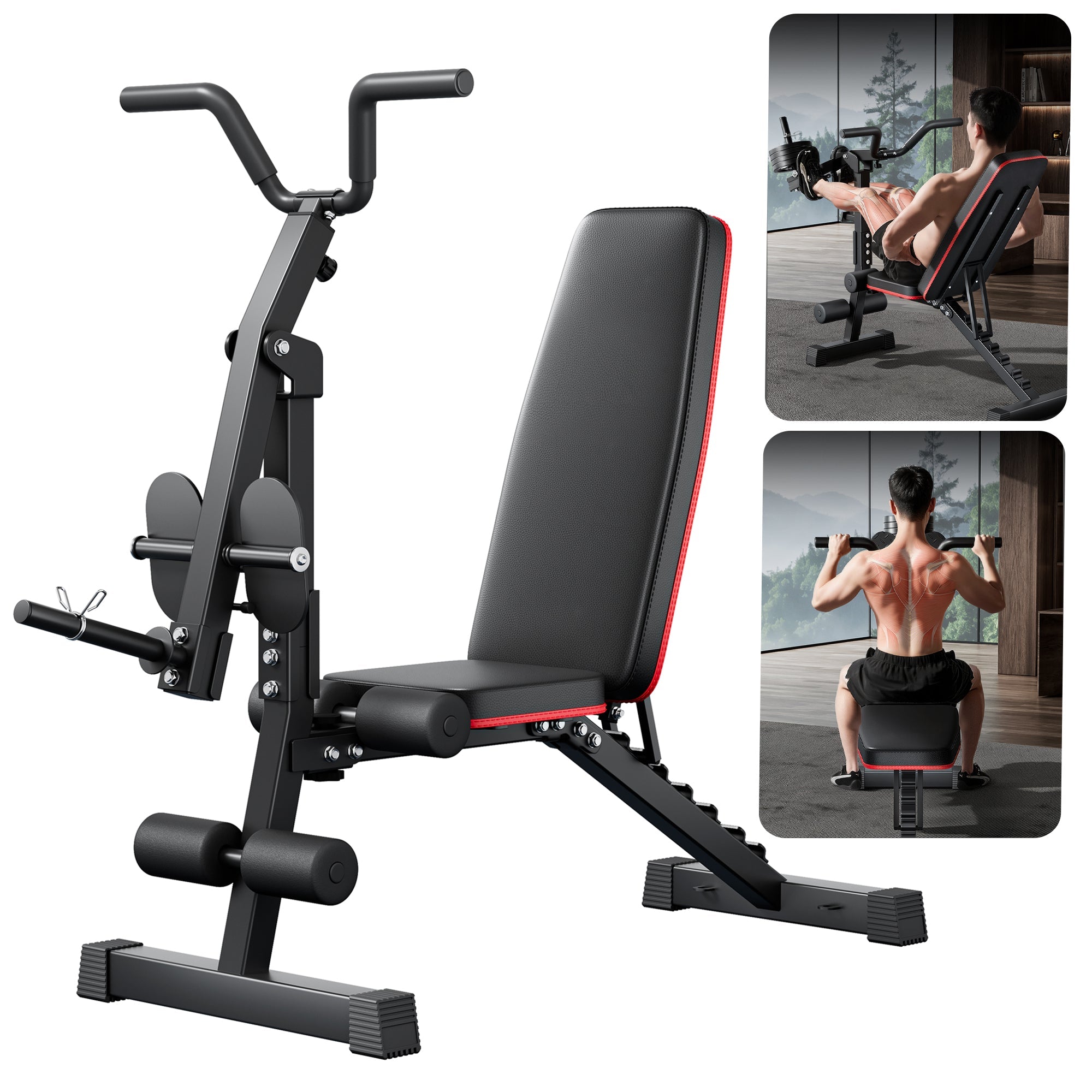 Multi-Functional Adjustable Weight Bench