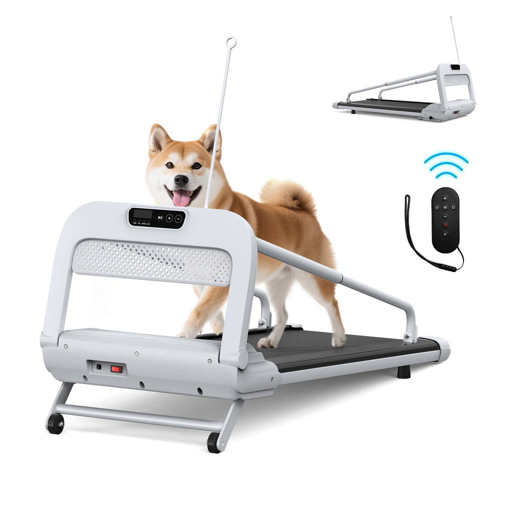 2025 New Quiet Smart Pet Treadmill