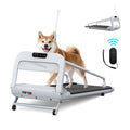 2025 New Quiet Smart Pet Treadmill
