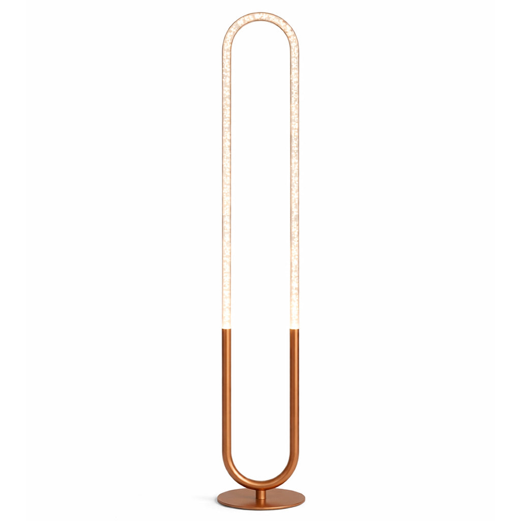 Contemporary LED Standing Floor Lamp