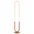 Contemporary LED Standing Floor Lamp