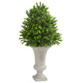 Sweet Grass Artificial Plant in Urn