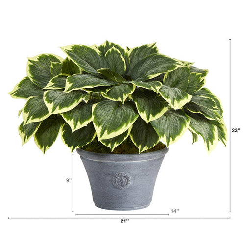 23" Variegated Hosta Artificial Plant in Gray Planter