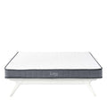 Kate 6" Queen Mattress by Modway