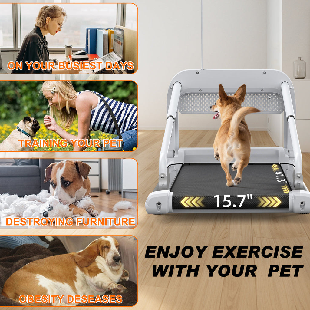 2025 New Quiet Smart Pet Treadmill