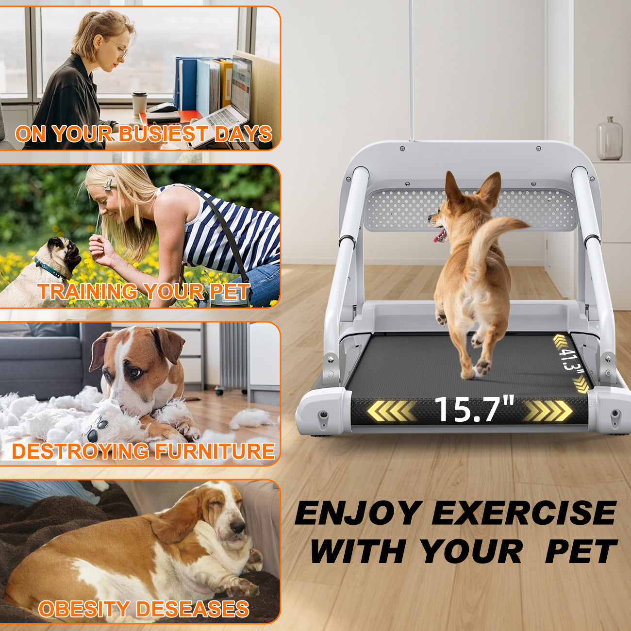 2025 New Quiet Smart Pet Treadmill