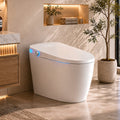 Smart Toilet With Bidet Built In