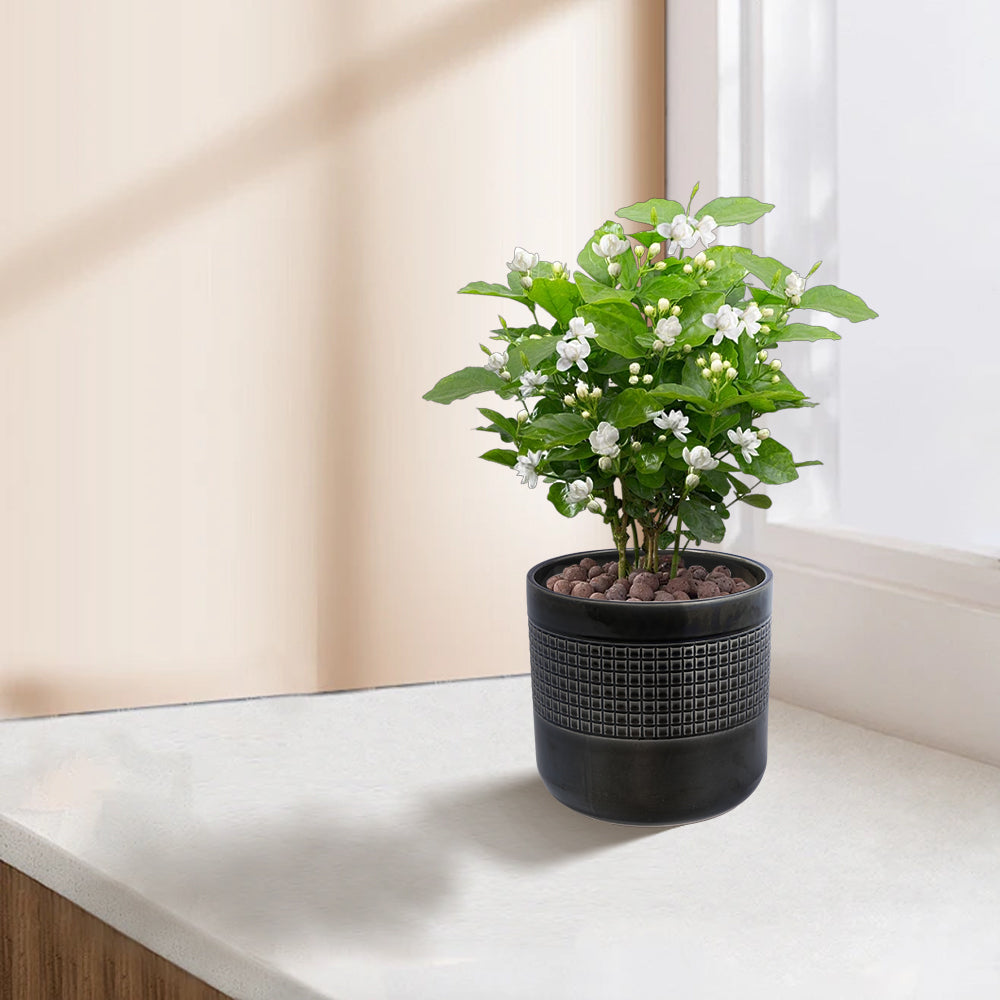 Handmade Garden Pots & Planters
