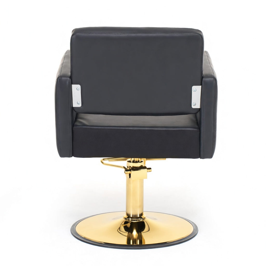 Barber Chair for Hair Stylist