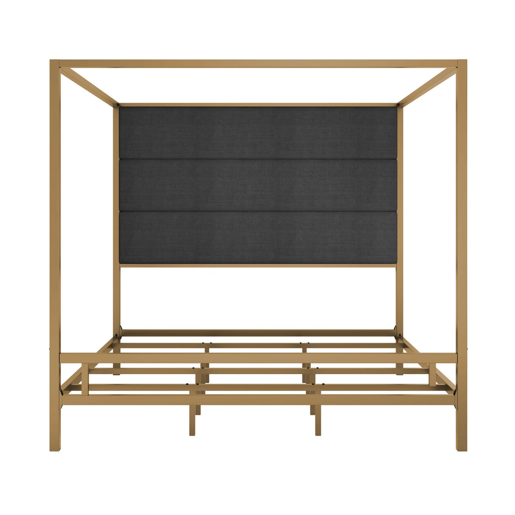 Modern Gold Metal Canopy Bed