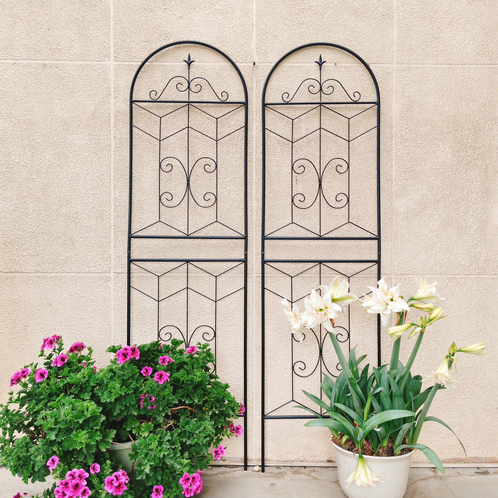 4 Pack Metal Garden Trellis