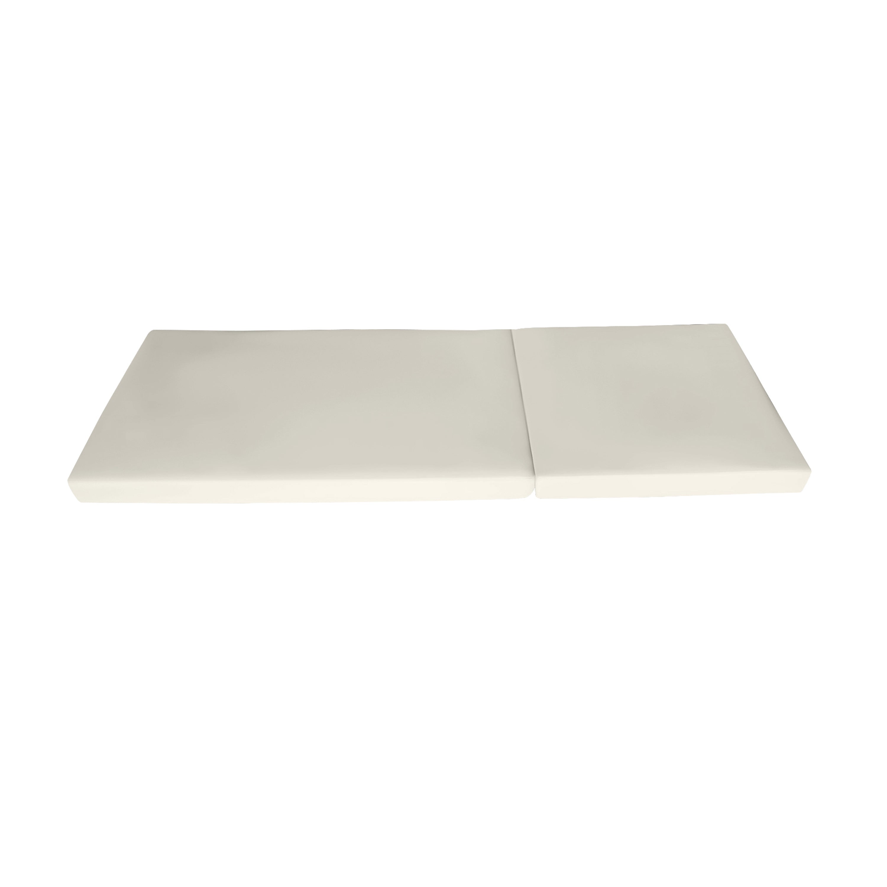 Broadway/Ian Chaise Lounge Cushion
