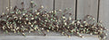 Pip Garland  Coffee Bean