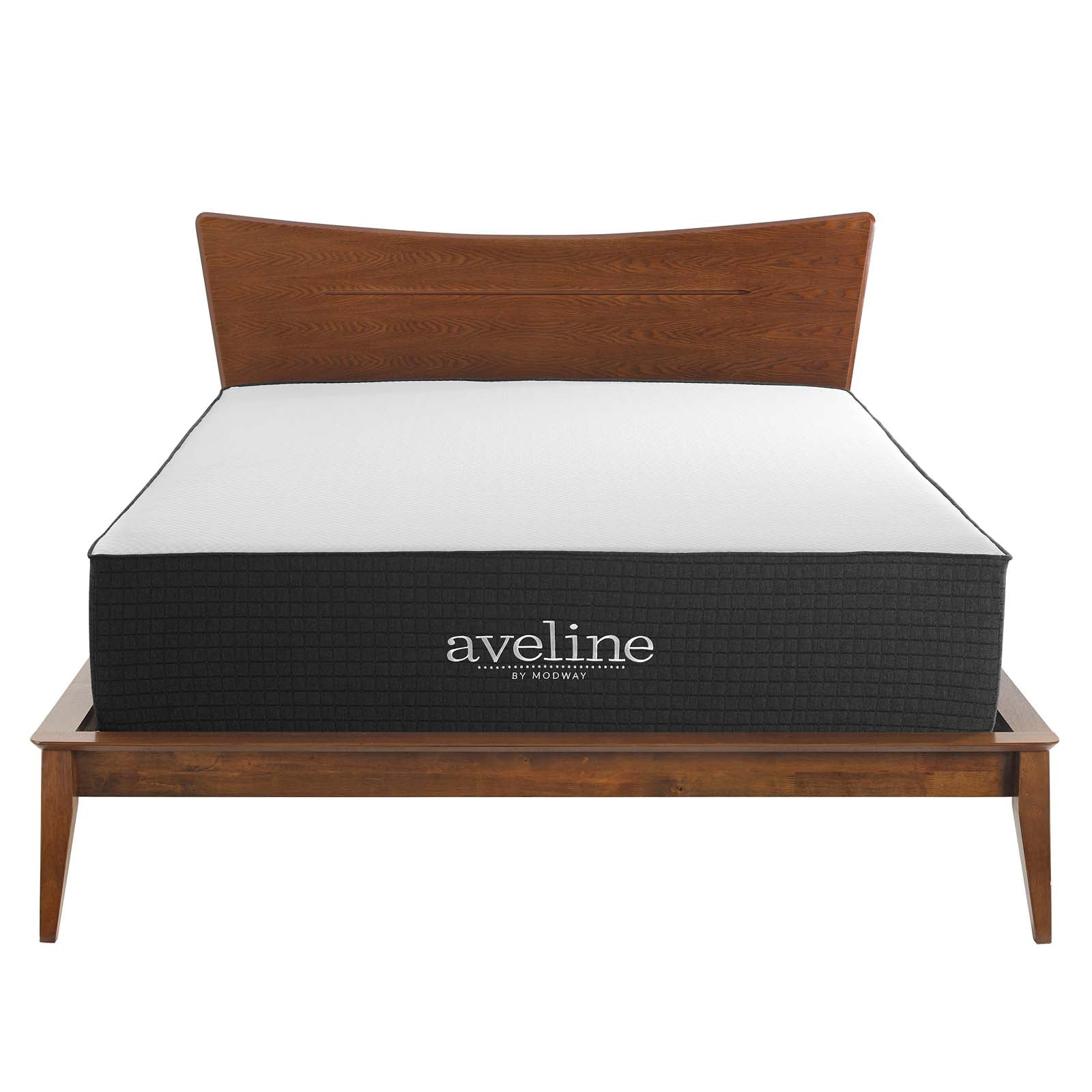 Aveline 14" Memory Foam Twin Mattress by Modway