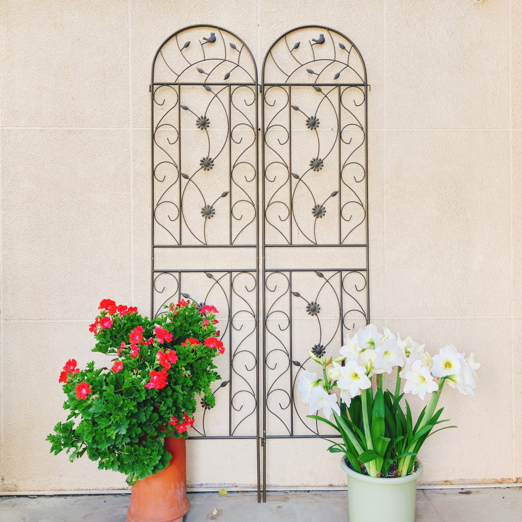 2 Pack Metal Garden Trellis 86.7" x 19.7"