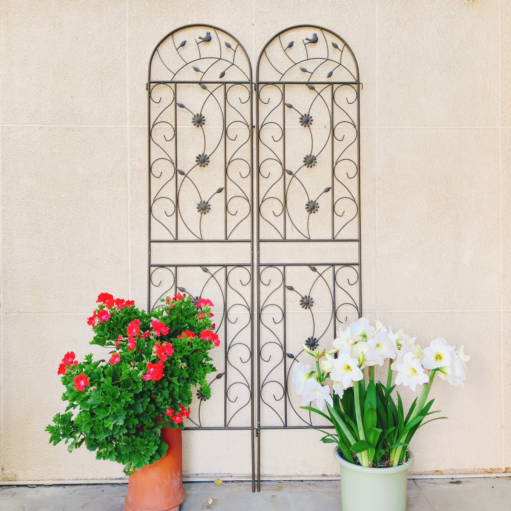 2 Pack Metal Garden Trellis 86.7" x 19.7"