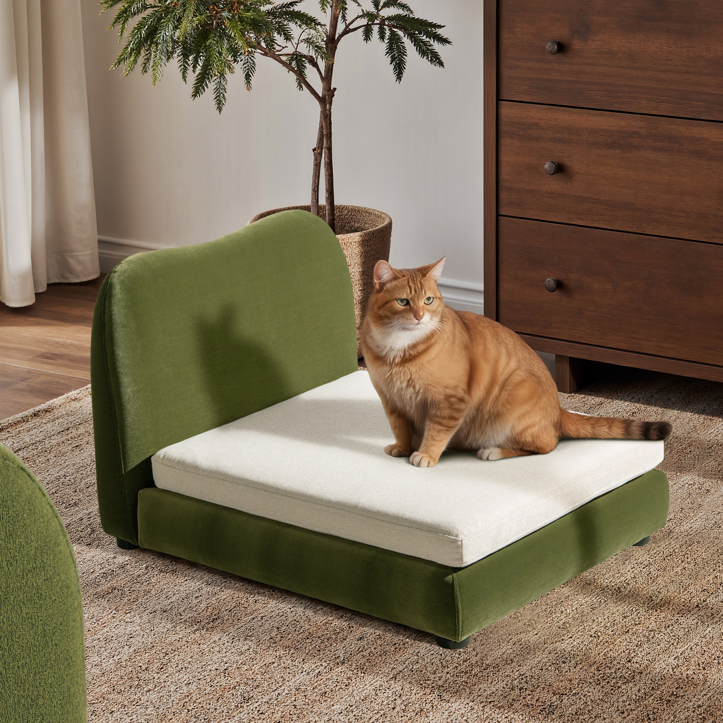 Roman Upholstered Modern Pet Bed