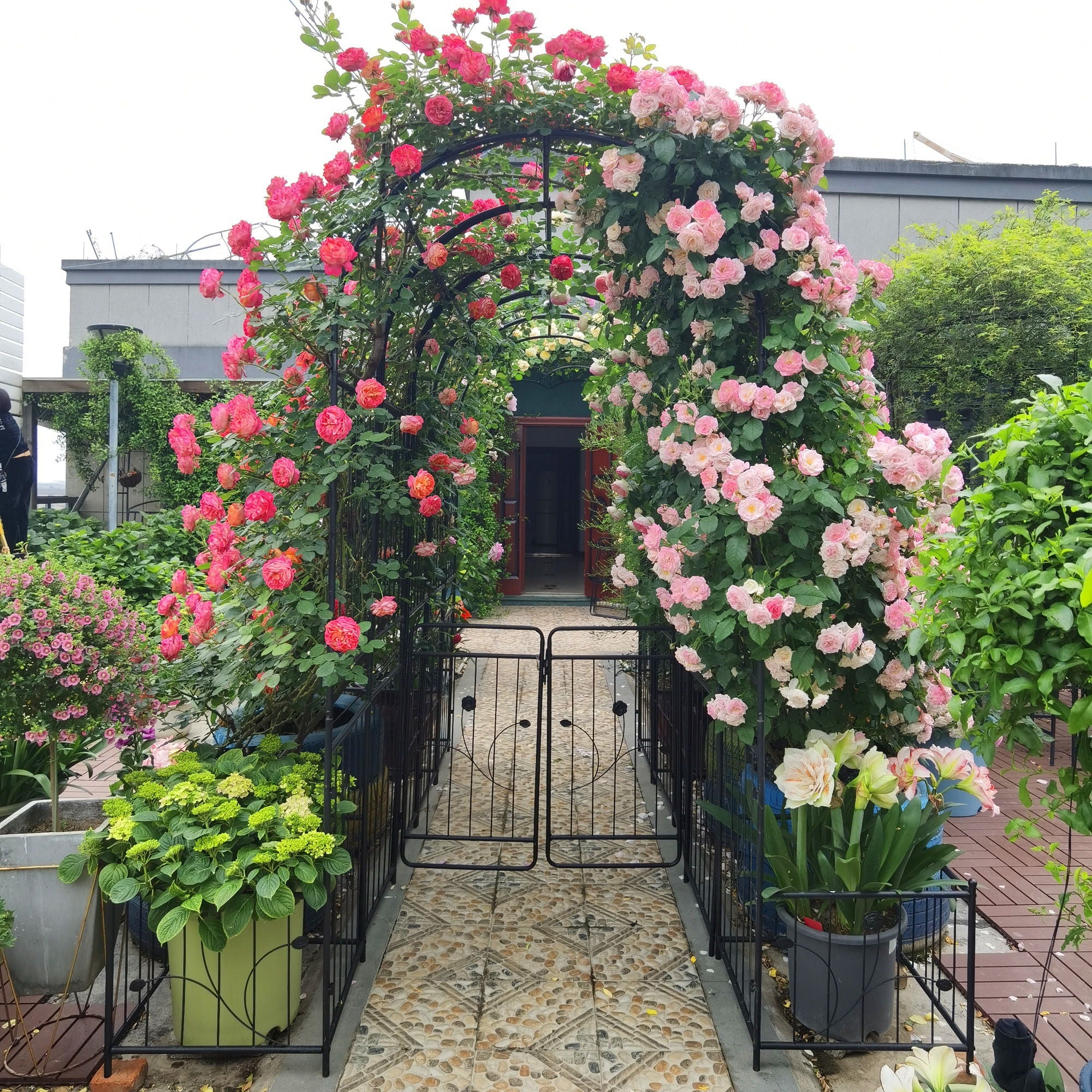 Metal Garden Arch With Two Plant Stands Wide High Climbing Plants Support Rose Arch Outdoor - Black