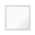 Shaker - Crocodile Metallic Mirror
