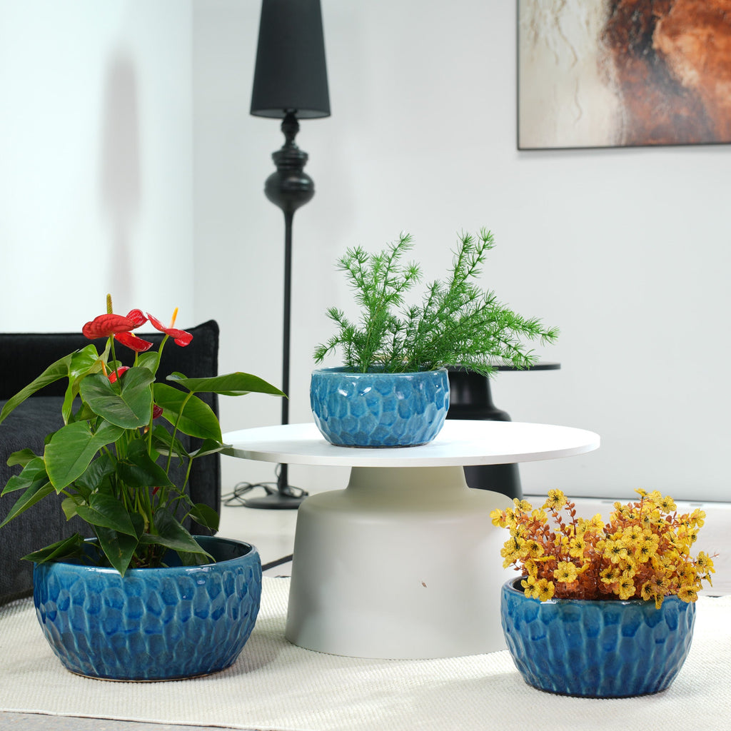 Handmade Ceramic Planter Set of 3 in Glossy Lake