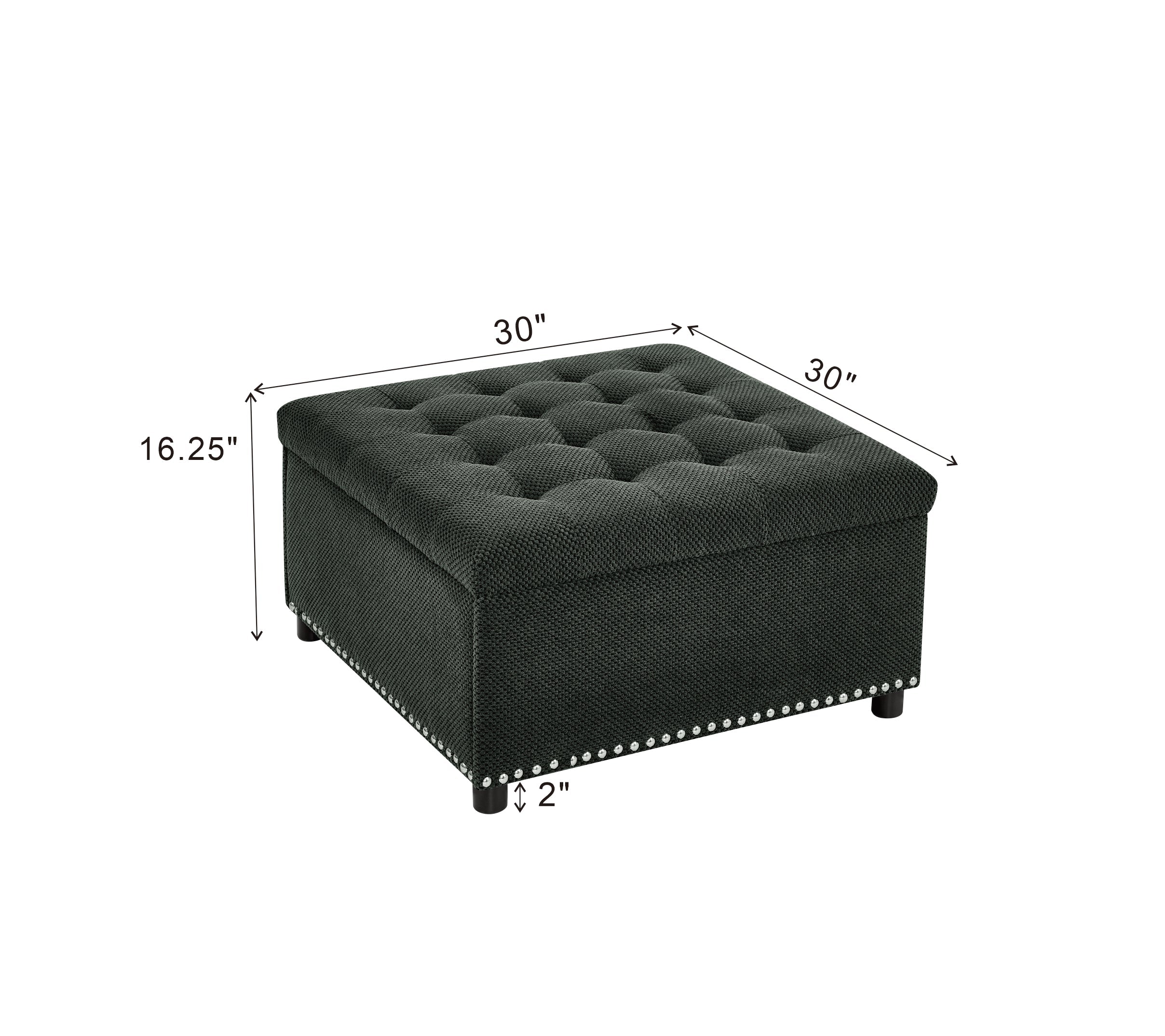 Tufted Storage Ottoman with Nailhead Trim - Dark
