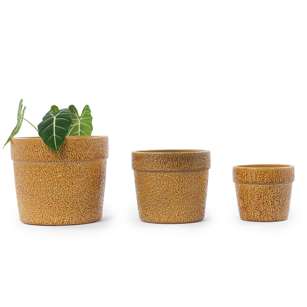 Handmade Ceramic Planter Set of 3