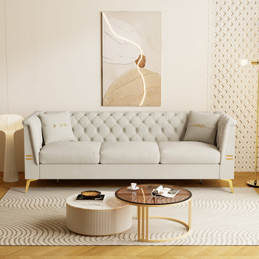 Contemporary Velvet Sofa With 2 Pillows