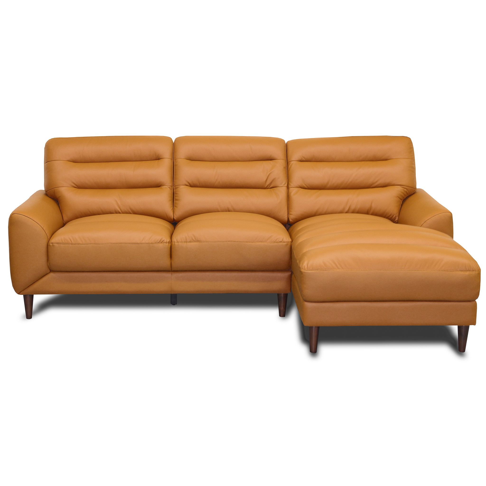 Clarion Genuine Leather Sectional