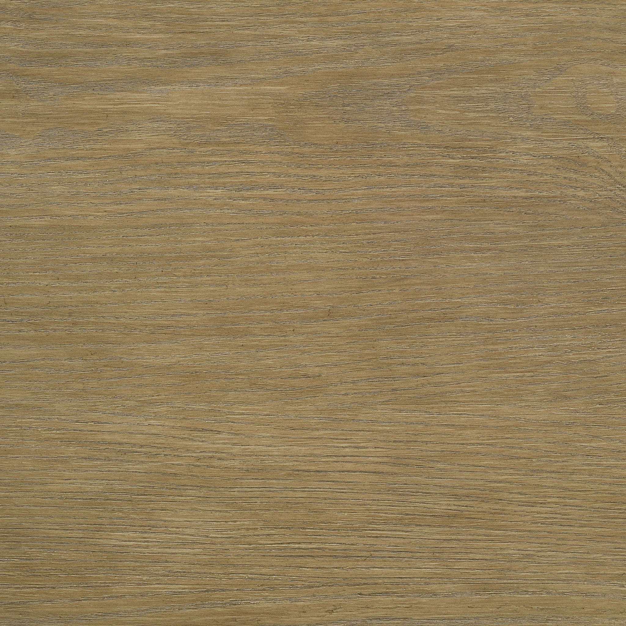 Arini 56-inch California King Panel Bed Cream and Sand Wash