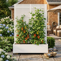 Metal Planter Box with Trellis