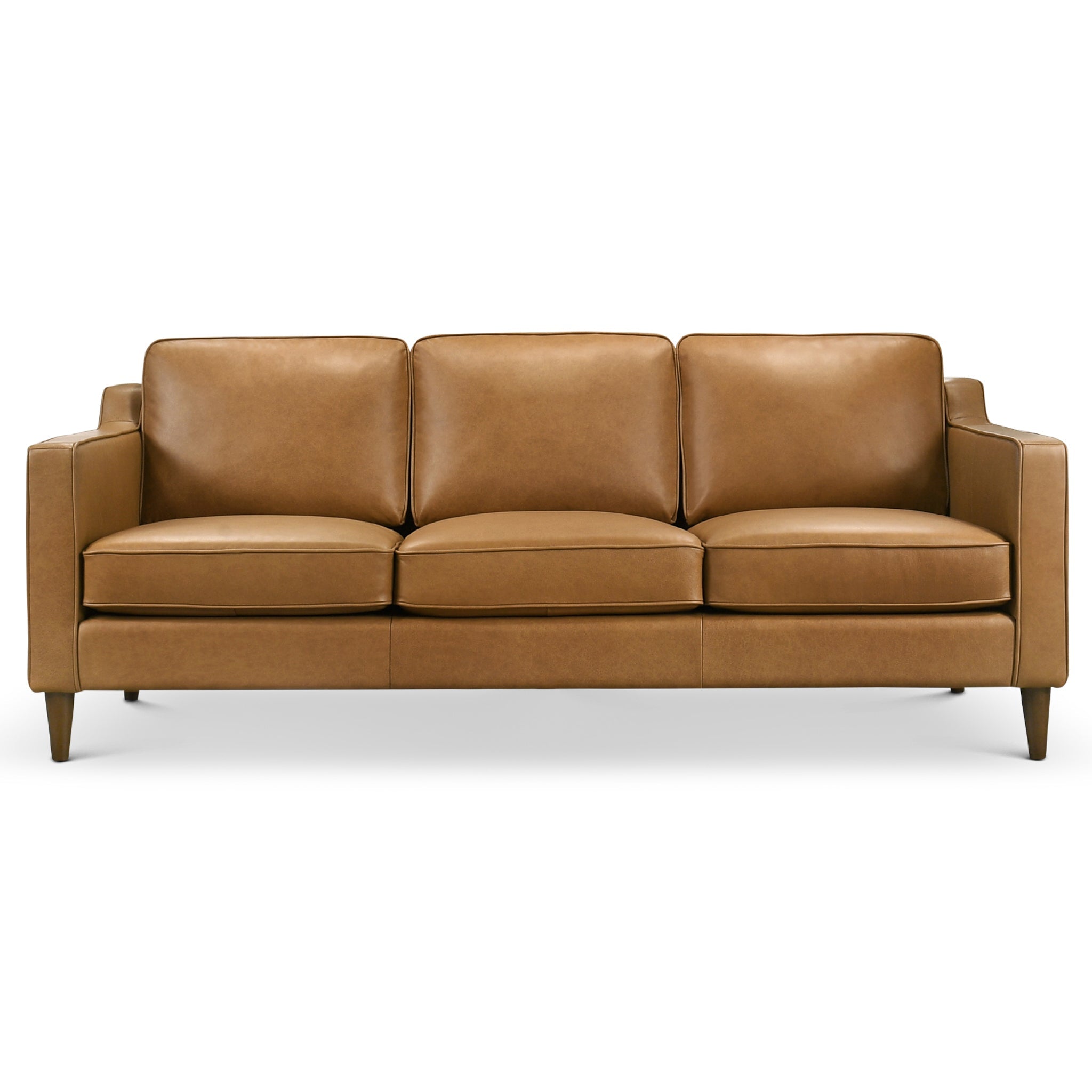 Cooper Mid Century Modern Sofa